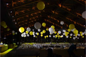 Photographe professionel Lyon / Pilote de drone